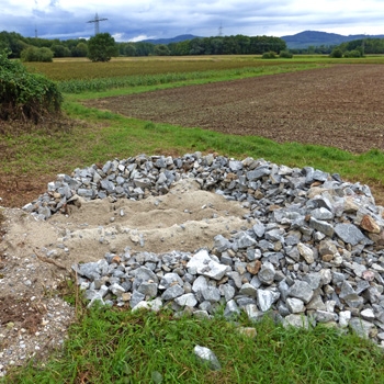 Eidechsenriegel