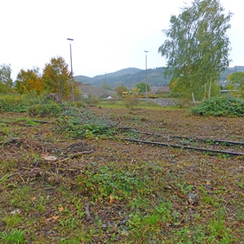 CEF Flächen